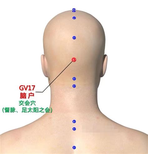 腦門穴|腦戶穴